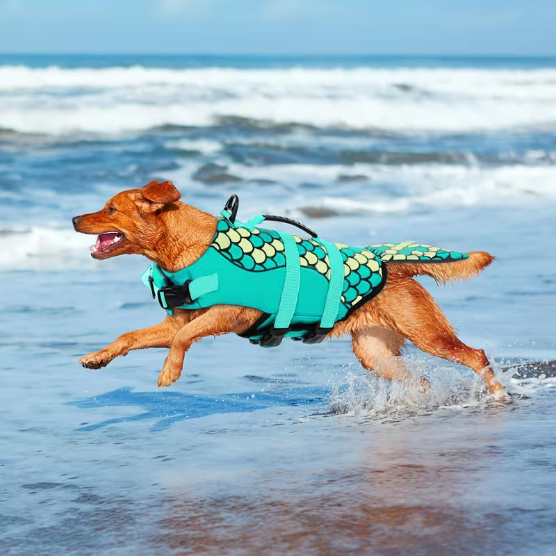 Chaleco mascotas talla S con escamas
