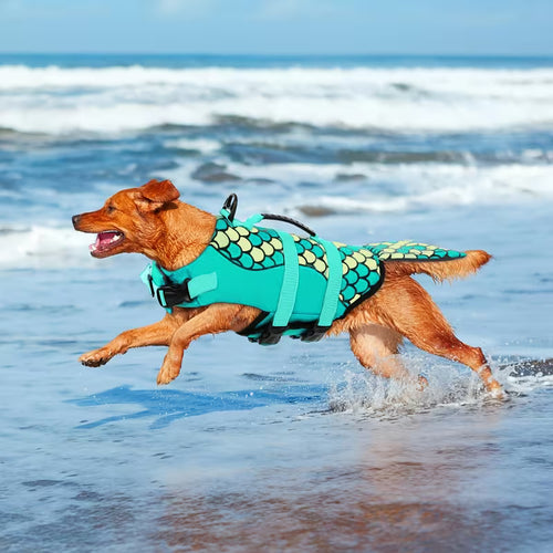Chaleco mascotas talla S con escamas