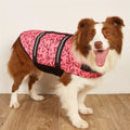 Chaleco Salvavidas para Mascota Talla M