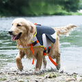 Chaleco Salvavidas para Mascota Talla M