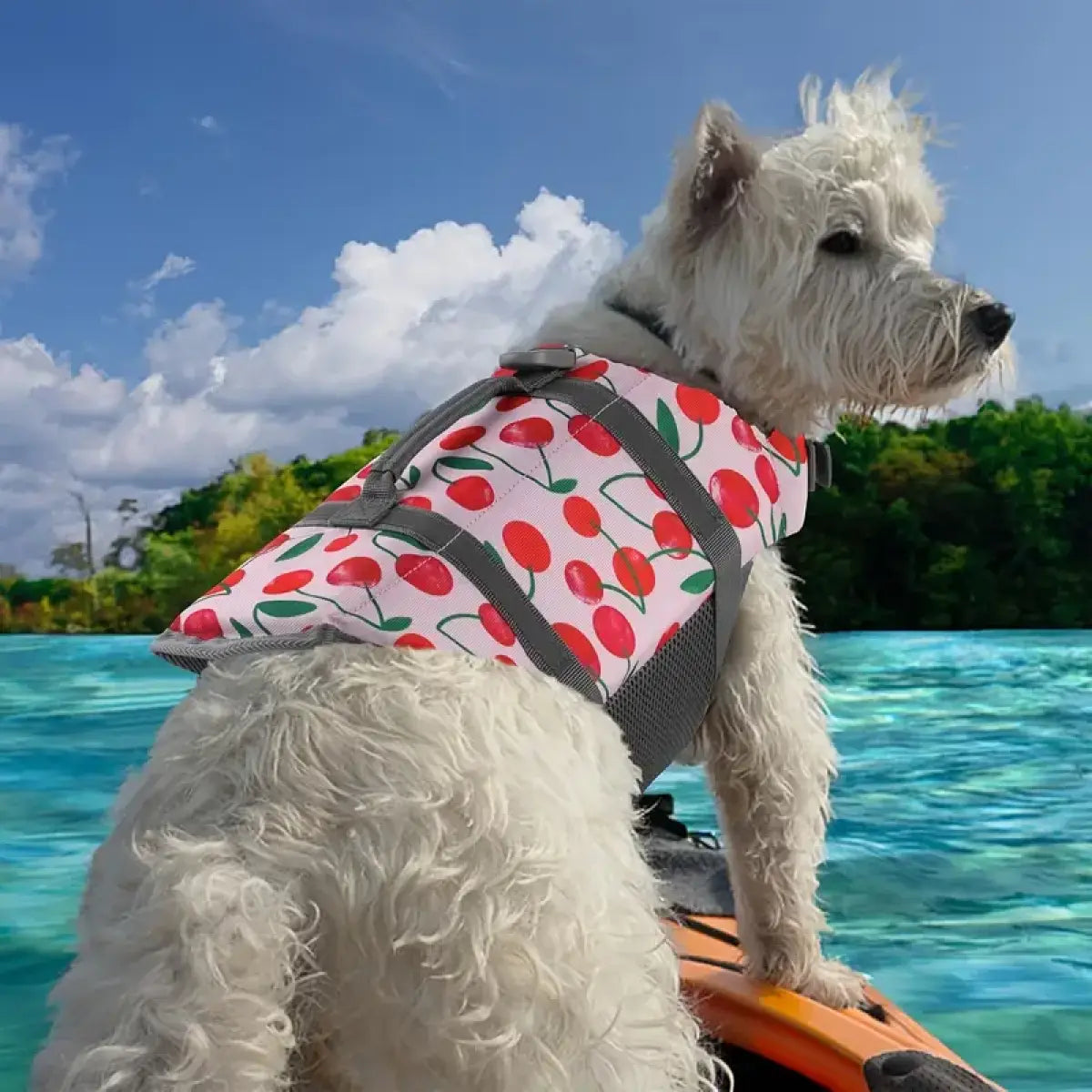 Chaleco Salvavidas para Mascota Talla M