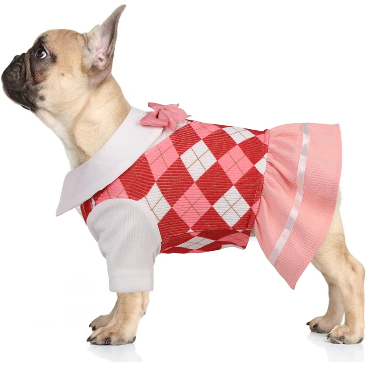 Vestido para Mascotas (Rosa-colegial) Talla XL