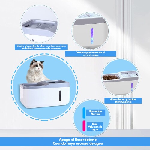 Fuente de agua automática y cuenco de Comida