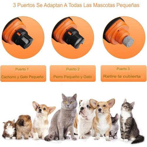 Lima para mascotas Naranja