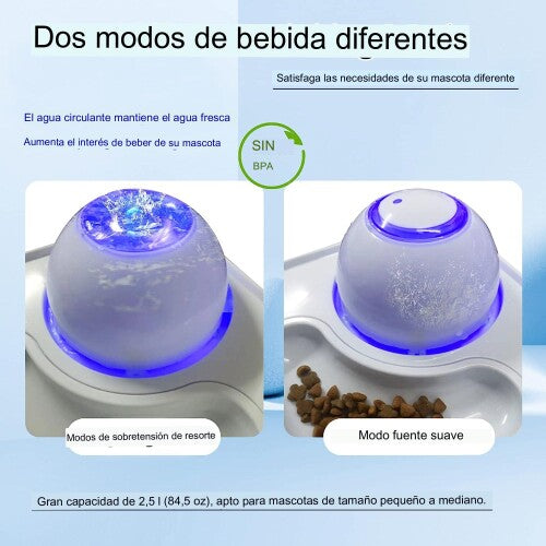 Fuente de agua 2 en 1 para mascota y cuenco de alimentación