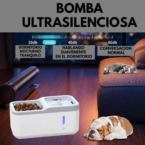 Fuente de agua automática y cuenco de Comida