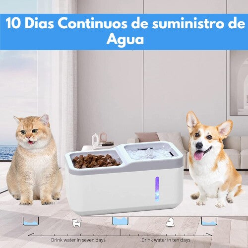 Fuente de agua automática y cuenco de Comida