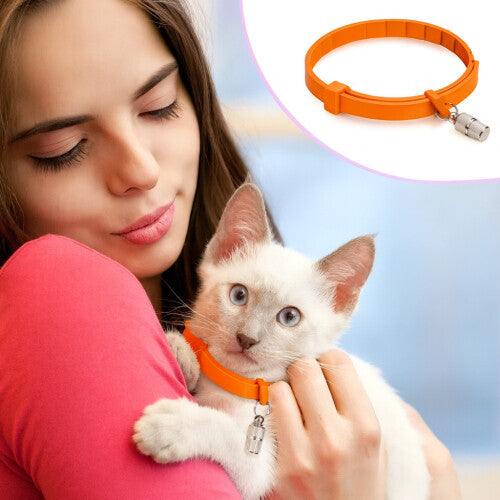 Collar calmate Para Gato Alivia Ansiedad Estres y Miedo, Tranquiliza