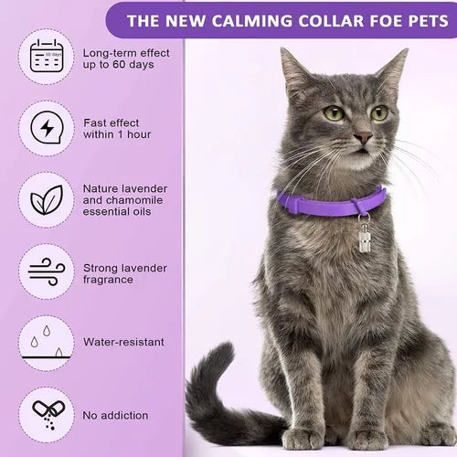 Collar calmate Para Gato Alivia Ansiedad Estres y Miedo, Tranquiliza