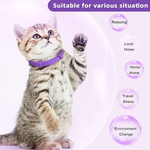 Collar calmate Para Gato Alivia Ansiedad Estres y Miedo, Tranquiliza