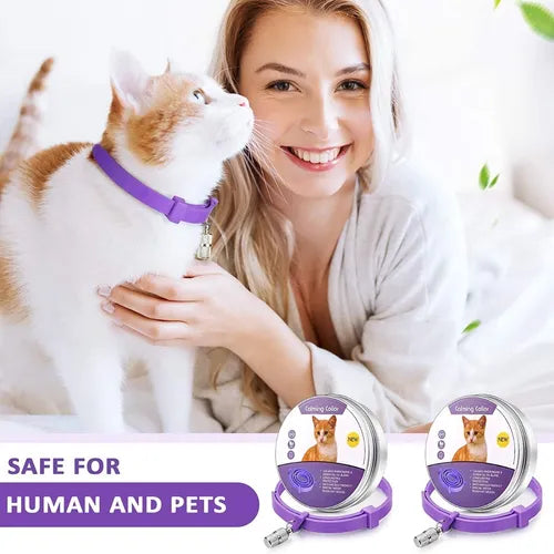 Collar calmate Para Gato Alivia Ansiedad Estres y Miedo, Tranquiliza