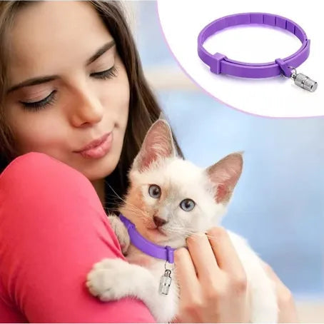 Collar calmate Para Gato Alivia Ansiedad Estres y Miedo, Tranquiliza