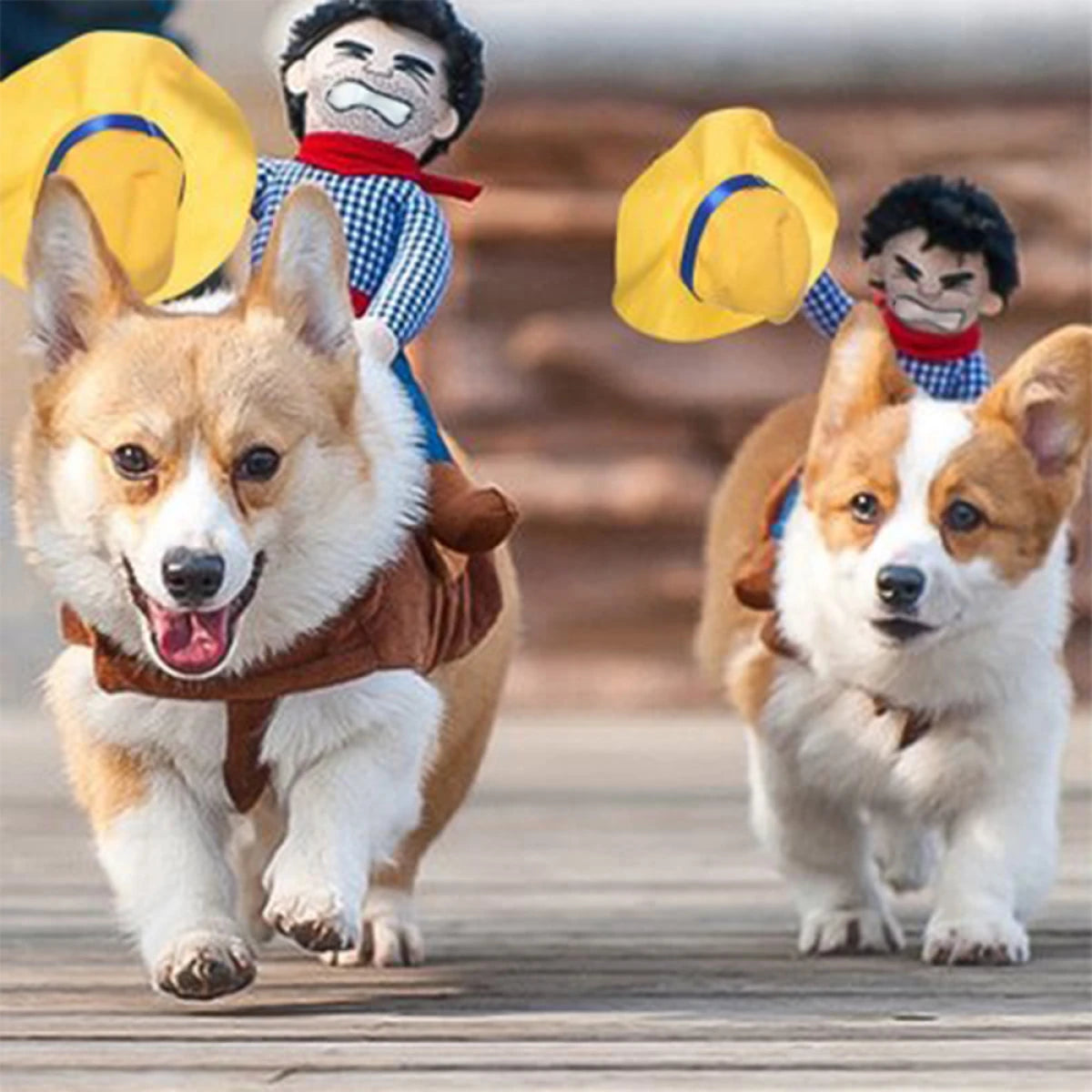 Divertido disfraz de Halloween para perros vaquero