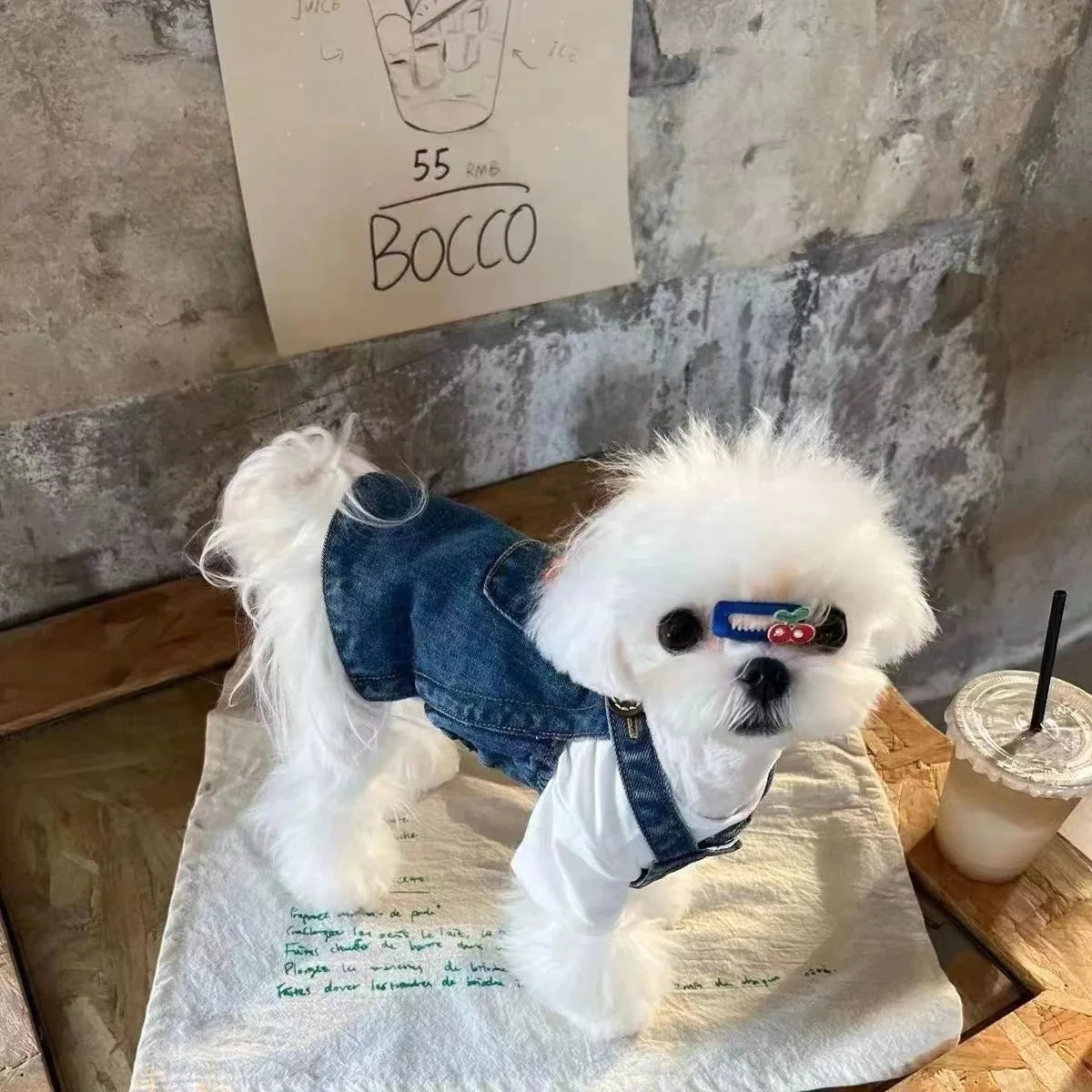 Braga vestido de jean para mascotas (Claro)