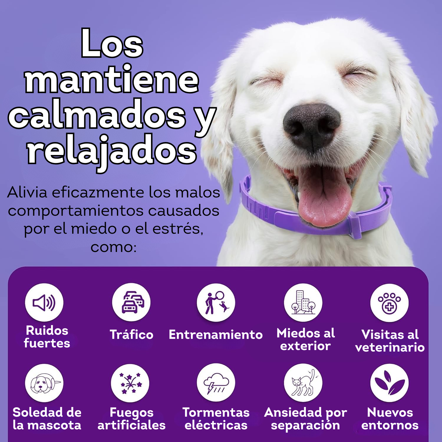 Collar calmante para perros mascotas