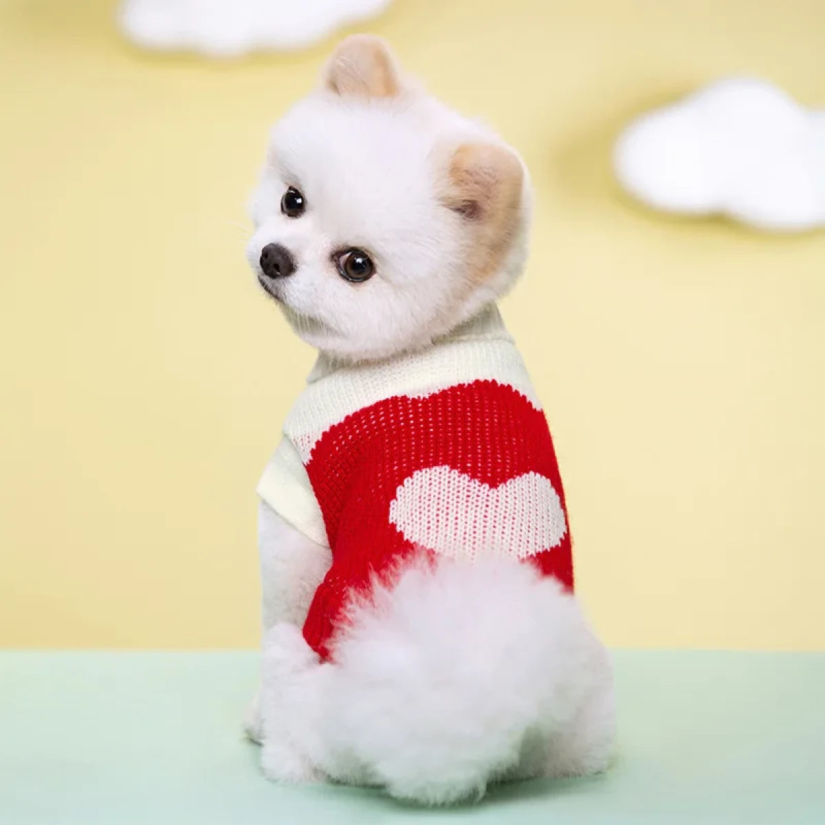 Sueter tejido para Mascotas