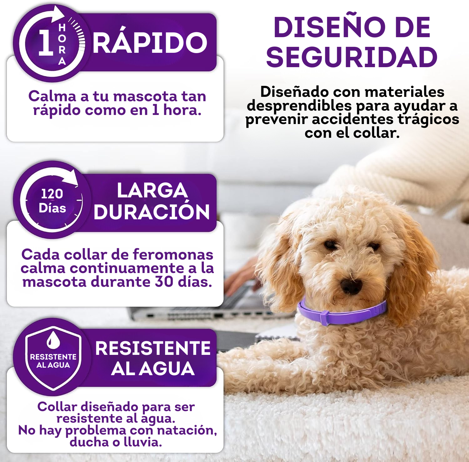 Collar calmante para perros mascotas