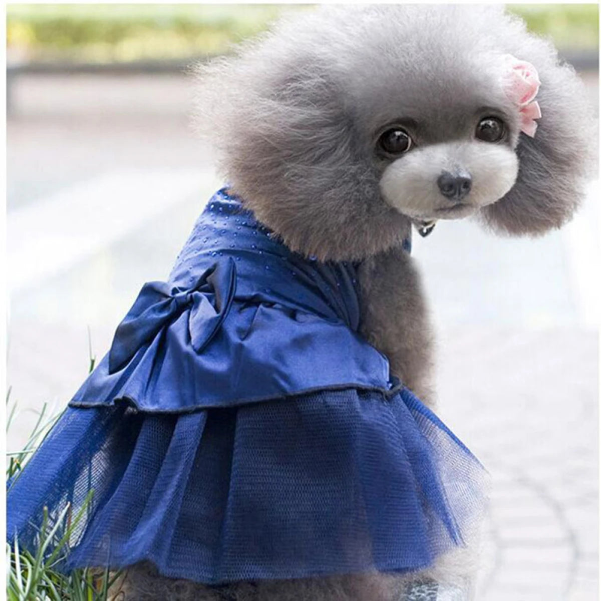 Vestido para Mascotas (Azul) Talla M