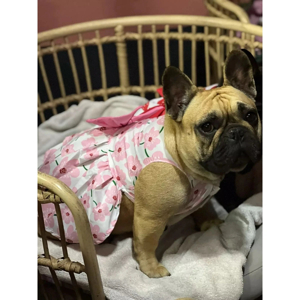 Vestido para Mascotas (Rosa- Flores) Talla L