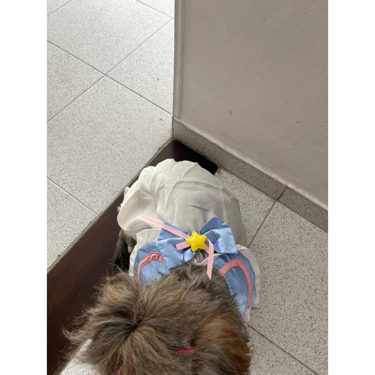 Vestido para Mascotas