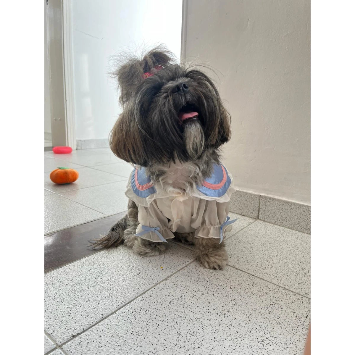 Vestido para Mascotas