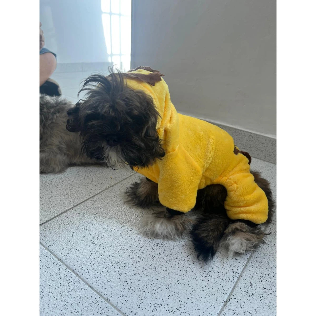 Pijama de león para Mascotas Talla S