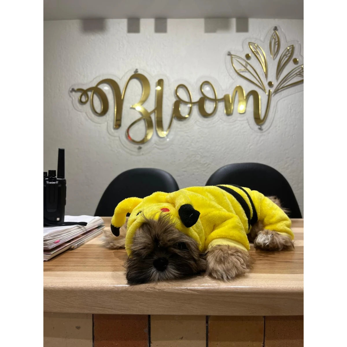 Pijama de pikachu para mascotas talla S
