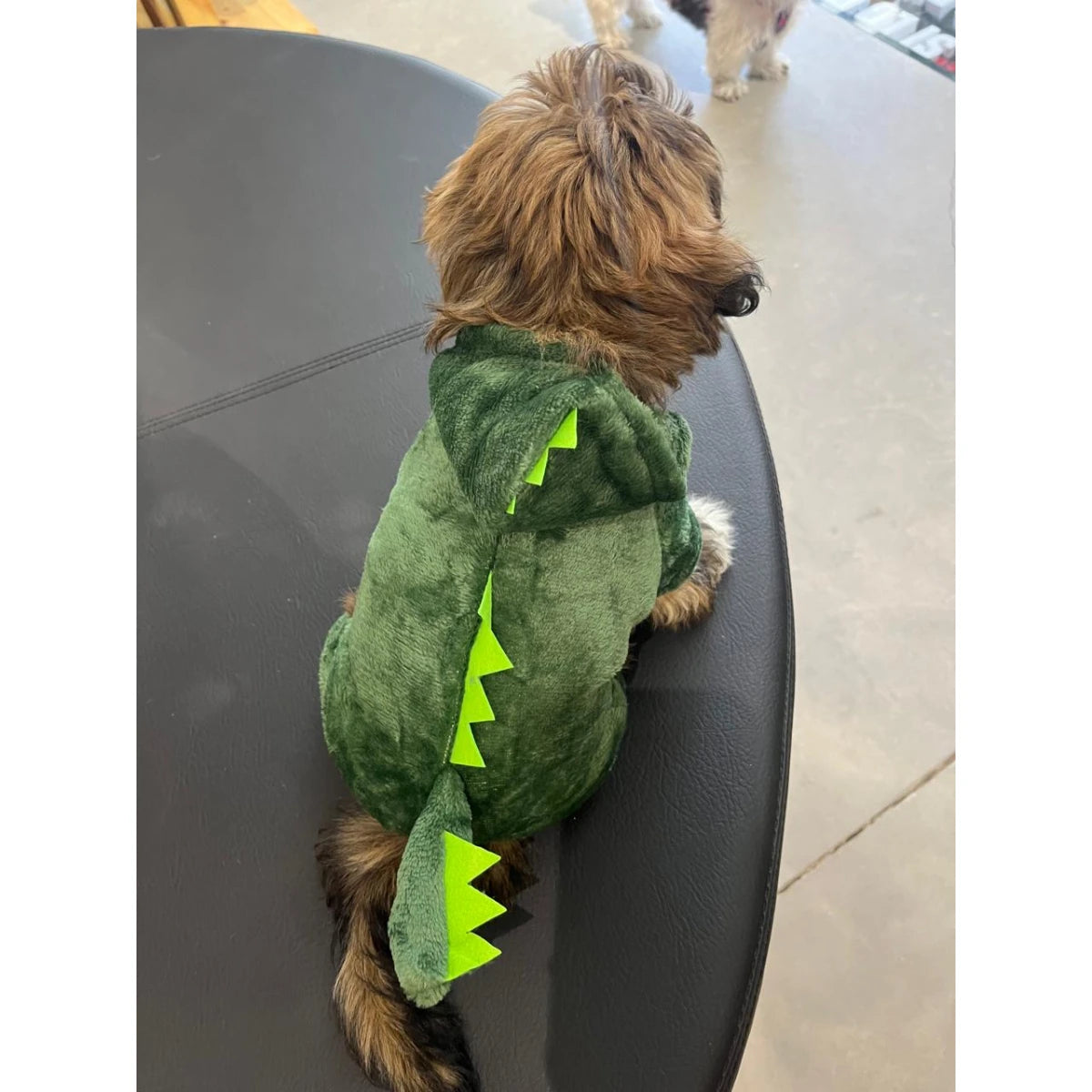 Pijama, Sueter de dinosaurio para Mascotas