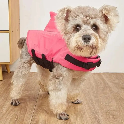 Chaleco Flotador para mascotas